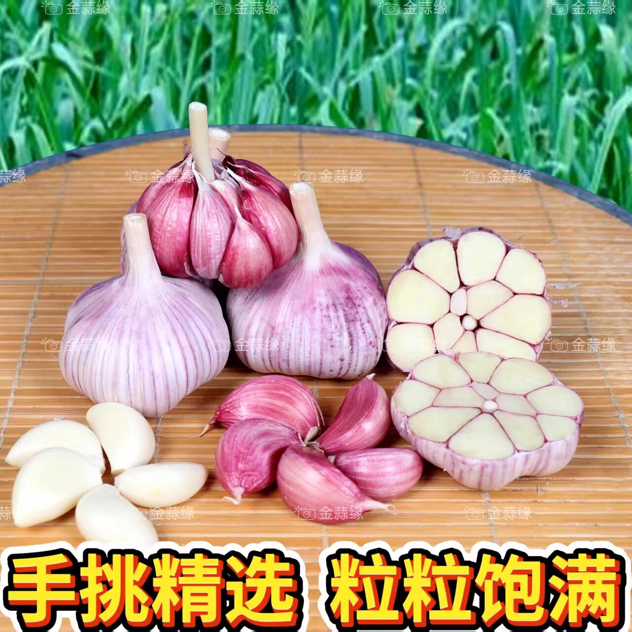 25年新干蒜测评｜山东金乡紫皮大蒜头到底有多香？本地人推荐的真正土蒜秘密-旅游-淘宝好物网