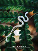 YIHE Original Spotted Golden Snake Niche Art Unique Ceramic Snake Zodiac Year Coat Brooch for Men and Women