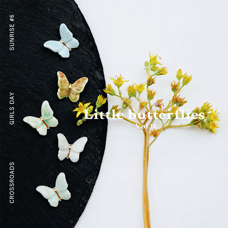 Shell Butterfly Earrings Women's Niche Design Women's Earrings 2024 New High-end Cool Fairy Earrings