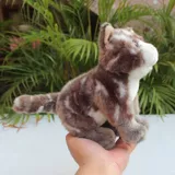 Реалистичная плюшевая милая игрушка, тряпичная кукла подходит для мужчин и женщин, котенок, кот, енот, подарок на день рождения