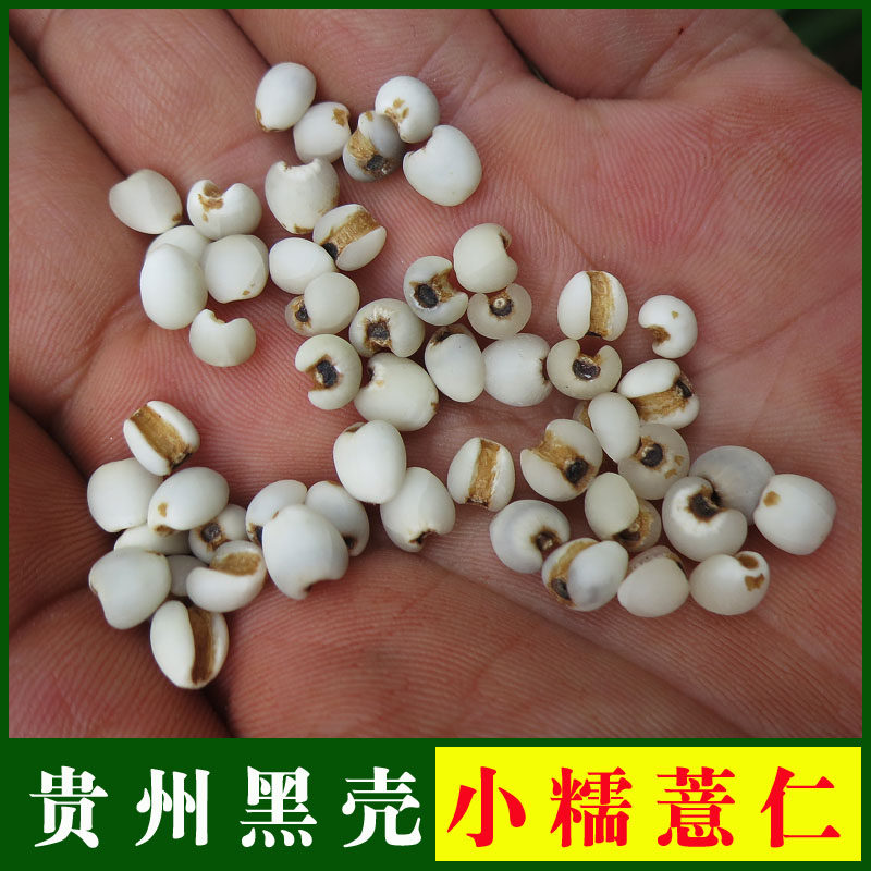 Guizhou Xingren Small Pearl Barley Black Valley Glutinous Pearl Barley 250 gr to help farmers straight for bruising black back