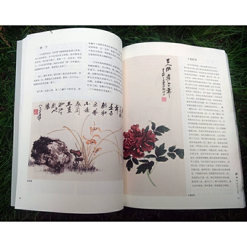 Чжан дакяне нарисованные сосновые искусства Новая версия Лекция Zhang Daqian Water Painting Flower and Bird Painting.