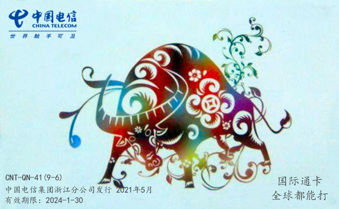 China Telecom International Tube Card International Card 370 yuan valid 2024-1-31
