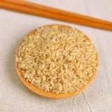 Коричневый рис северо -восток коричневый рис рис Сюань рисовая ферма прорастает рисовая прорастание рисовых зародыше