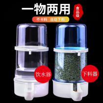 Pigeon drinker parrot automatic feeding kettle Xuanfeng tiger skin bird food box pigeon food box pigeon trough feeding bird artifact