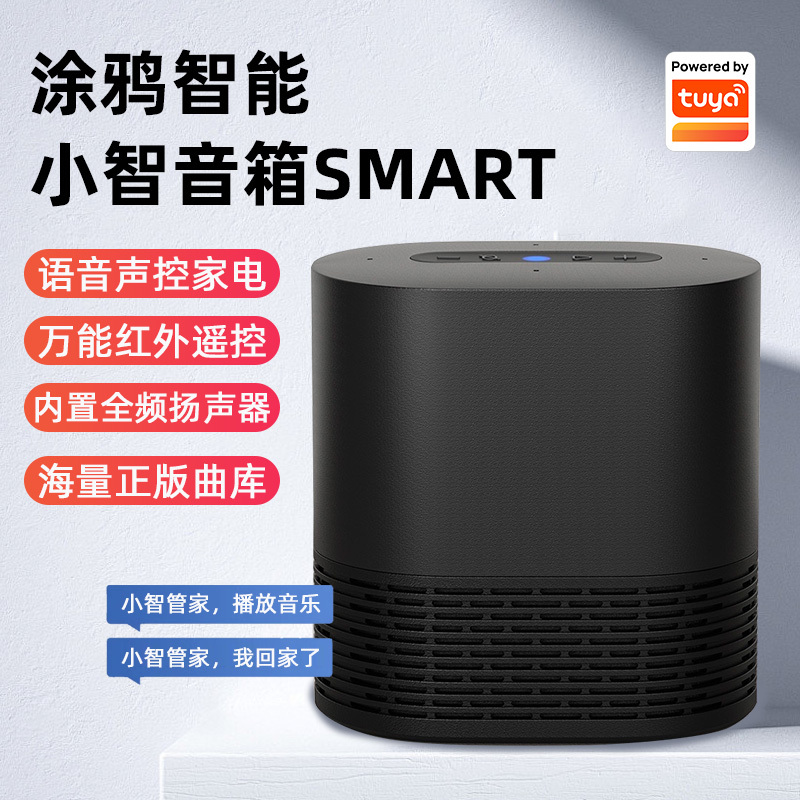 Tuya Smart Selection Smart Speaker Ss195 Little Smart Assistant Audio Voice Tuya Smart Official Flagship Store Switch