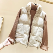 2018 mới Hàn Quốc lỏng lẻo cổ áo rộng túi lớn khóa kéo khóa cotton dày ấm áp vest nữ mùa đông