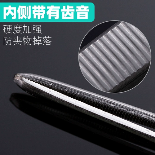 Расширение бабушки, сочная, кормила рыба, трава и карп, толстый клип -инструмент, черепахи кормит из нержавеющей стали большую щепотку