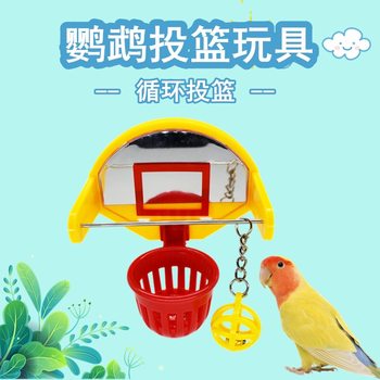 Parrot bird toy trains shooting and chewing intelligence