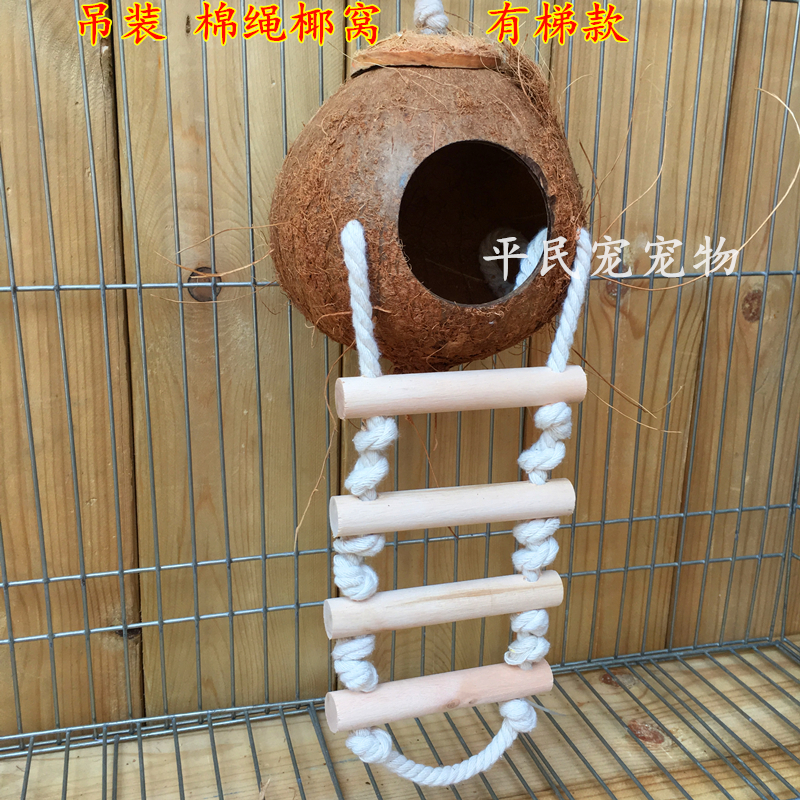 Tổ yến sò dừa tổ cỏ hoa mẫu đơn da hổ nuôi tổ yến nhỏ và vừa vẹt mật ong cung dừa - Chim & Chăm sóc chim Supplies lồng choè lửa