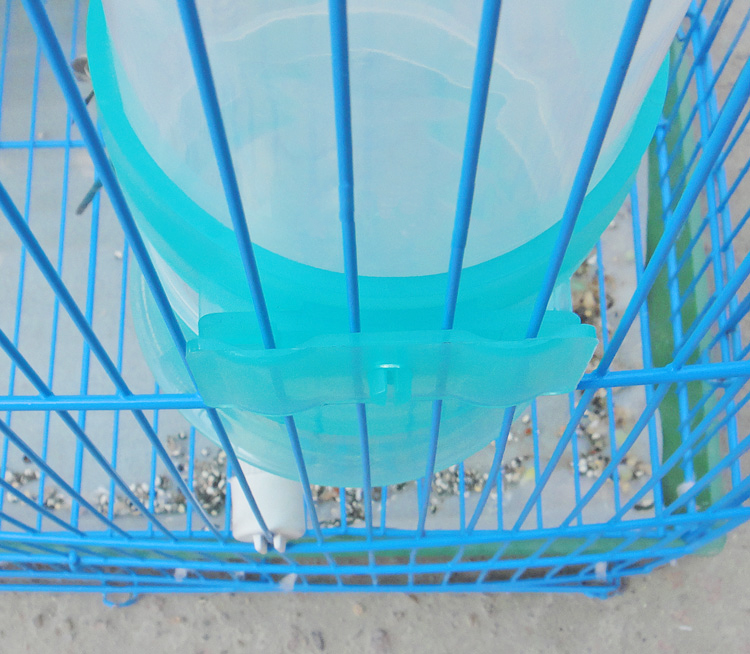 Pigeon Parrot Tự động uống Fountain Nguồn cung cấp chim Chim bồ câu trung chuyển Ấm đun nước Pot Pot Hộp thức ăn lớn - Chim & Chăm sóc chim Supplies cám cút đẻ