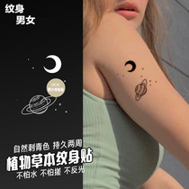 Herbal planet small fresh girl ins Herbal semi-permanent juice grass tattoo stickers