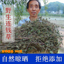 (Wild Lianqian Grass) New goods mountain landing copper grass lung wind grass 500g wild dry products