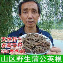 Dabie Mountain Wild Dandelion Root Tea Farmers Mining Dandelion Root Dry Goods Po-Po Ding Root 500g