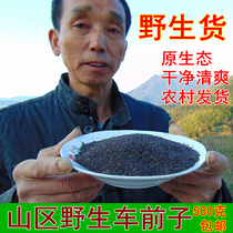 Dabie Mountain Pedal Chanpae Chanpae Seeds Chanpae Seeds 500g non-Padgrass