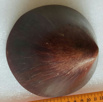 Qinghai-Tibet Plateau caviar silk Yak horn shield ornaments Ethnic minority characteristics collection