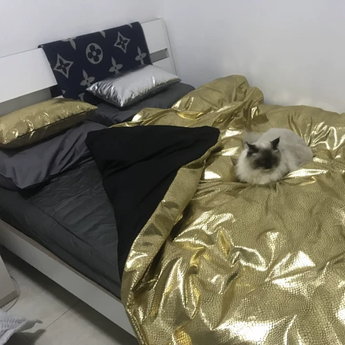 Модный диван, подушка, наволочка * золото