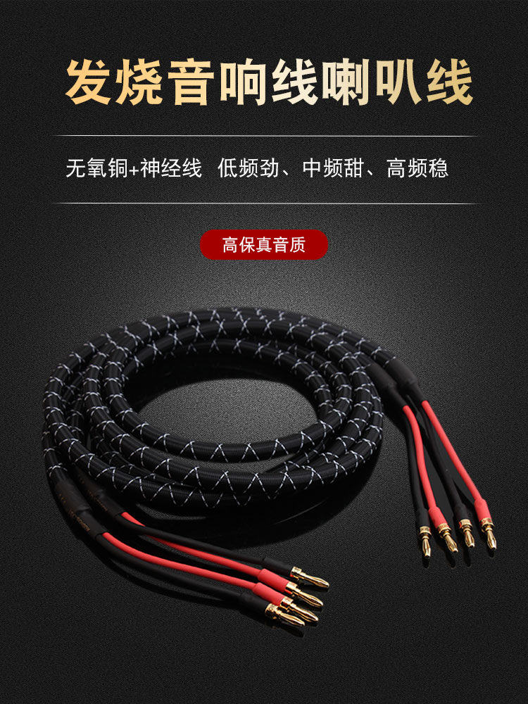 High-End Speaker Cable, Pure Copper with Nerve Wire, Main Speaker Surround Cable, Audio Amplifier Connection Dedicated Cable