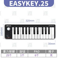 EasyKey.25 Black