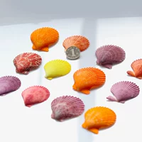 12 цветной оболочки