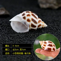 Dongfeng Snail 3-4 см [маленькая рыба и краб]
