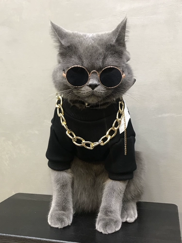 Собаки и кошки, одежда, зимняя тонкая маленькая собачья прилив, домашняя кошка одежда мужская кошка красива