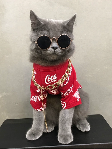 Собака и кошачья одежда весенняя куколка кошачья домашняя кошка бренд с сеть