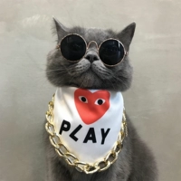 Любовь играй в белый цвет