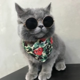 Шарф, слюнявчик, аксессуар, милый нагрудник