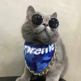 Шарф, слюнявчик, аксессуар, милый нагрудник