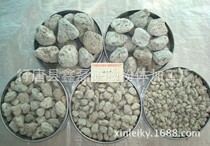 Gardening fleshy cultivation light stone micro-landscape large pumice water pumice blisters a piece of water