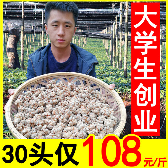 Xiaofan Yunnan Wenshan Panax notoginseng special grade 20 heads 30 heads 40 heads wild field seven pieces of Chinese herbal medicine 37 powder authentic 500g
