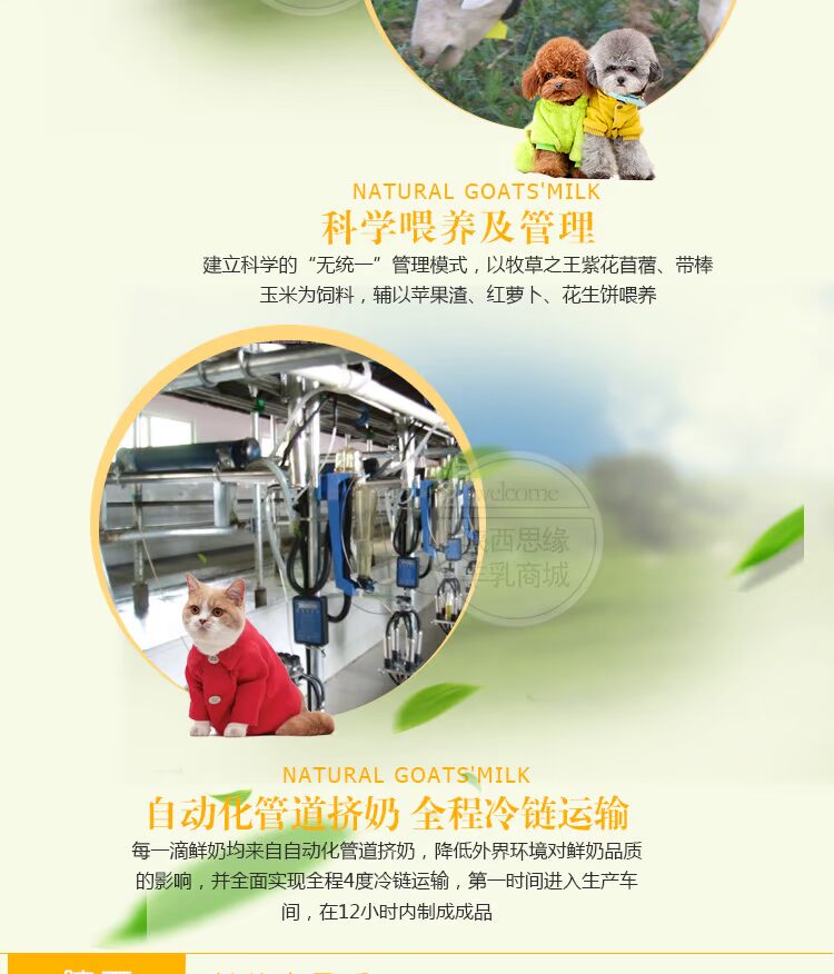 Tất cả mọi thứ Cheung sản phẩm y tế con chó cưng cừu sữa dinh dưỡng canxi sữa bột sữa bột bột puppy vàng mèo Teddy sữa mèo
