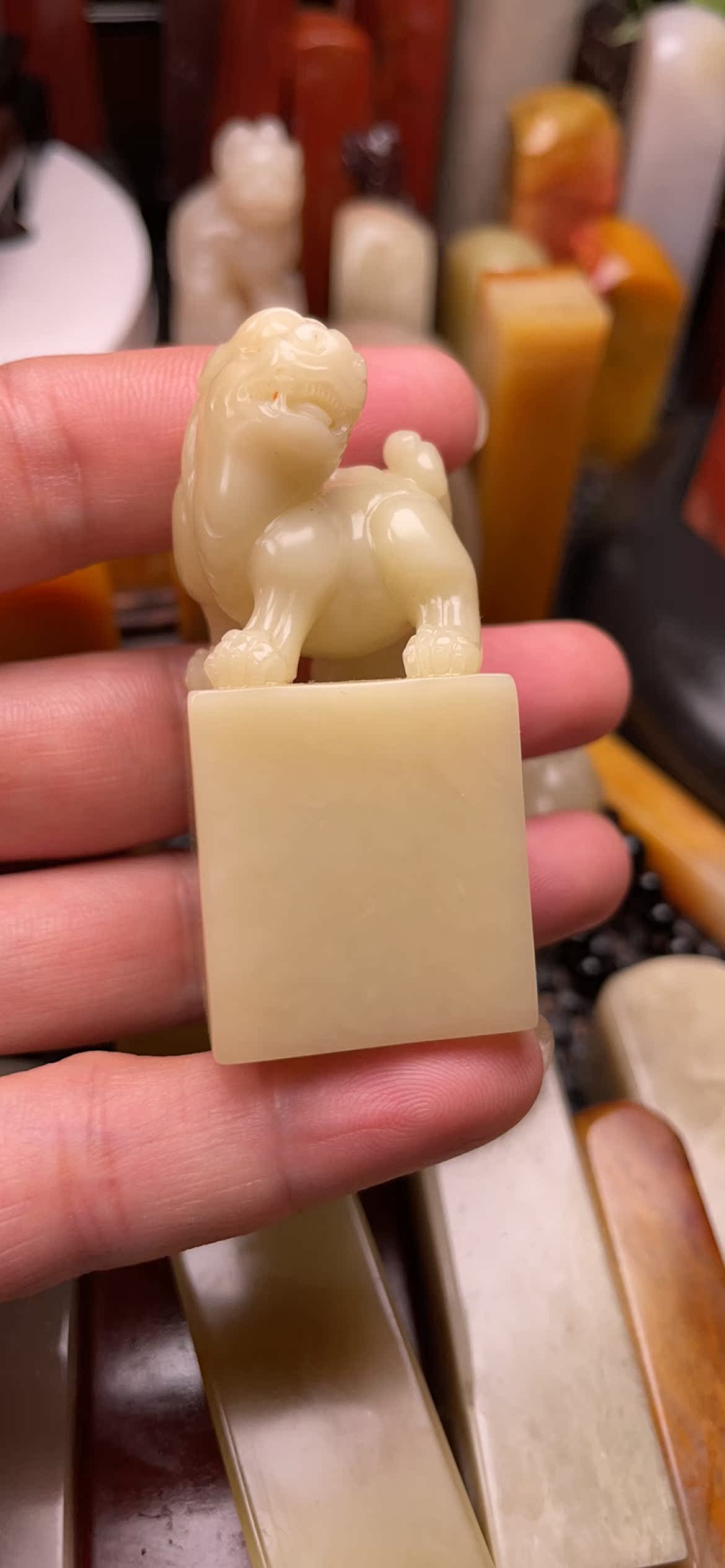 Susan plywood hibiscus stone hibiscus stone