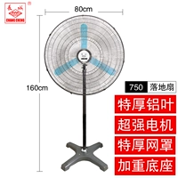 【Luxury Edition】 750 Fan Fan Fan