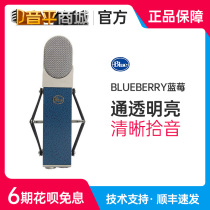 Blue Blueberry Blueberry Big Vibration Film Capacitive Microphone Professional Recorded Guitar Music Recording Microphone