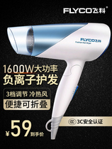 Feike electric hair dryer household negative ion hot and cold air portable dormitory dormitory bedroom student foldable hotel 6251