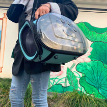 Cat Bag Out of Portable Space Cabin Kitty House Cat Out Cat Cage Pet Backpack Cat Book Packing Dog Double Shoulder Backpack