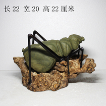 Songhua Stone Kiss Stone Maoshi Original Stone Ornamental Stone Lingbi Stone Wenplay Collected Insect Pictogram Stone Ant