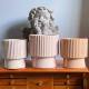 Morandi Nordic ງ່າຍດາຍ ceramic flowerpot ຂະຫນາດໃຫຍ່ສ່ວນບຸກຄົນສ້າງສັນເຮືອນ pothos Phalaenopsis ດອກ pot pot pot