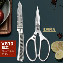 Damascus molten steel fruit knife vg10 steel core kitchen home cut fruit paring with knife cut kitchen knife sharp and small knife