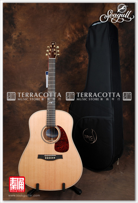 Terracotta warrior Seagull Seagull Artist Mosaic mosaic full veneer folk soundtrack guitar