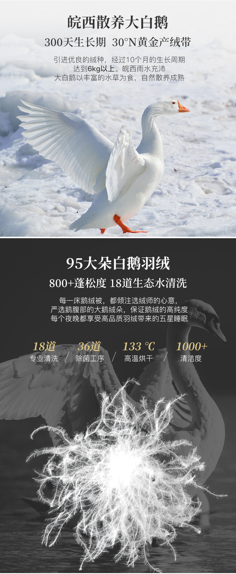 出口全球 鸿润家纺 80支美利奴羊毛羽绒冬被 95%白鹅绒 200*230cm 图3