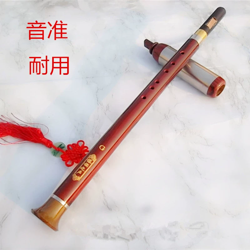 Vân Nam mới nhựa bakelite thổi thẳng đứng Bawu G điều chỉnh F người mới bắt đầu chơi nhạc cụ quốc gia có thể tháo rời - Nhạc cụ dân tộc