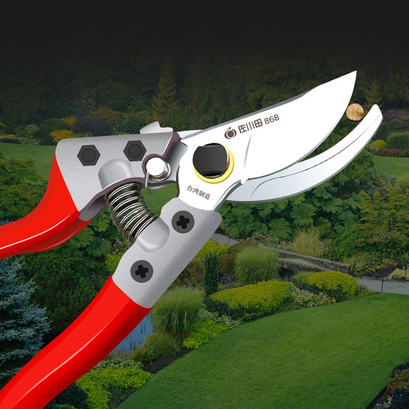 Horticultural Cut Branches Scissors Fruit Tree Branches Garden Flowers Branches Floral Arts Scissors Repair Branches Cut Vigorously to Remove Fruit Gods