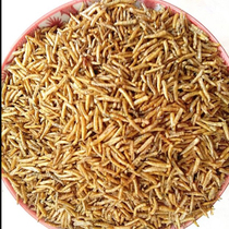 Maggot Dry Five Valley Worm Birds Eating Maggots Dry Octogatorio White-Head Weng Brow Bird Feed Small Birds Snacks 500 gr