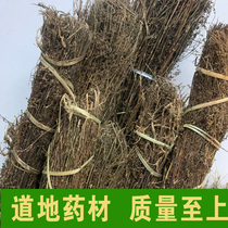 Hidden Yin Chen Chinese herbal medicine 500 gr Tibet natural Tibetan Yin Yin Chen tea herbal tea liver-biliary Tibetan fungus Chen