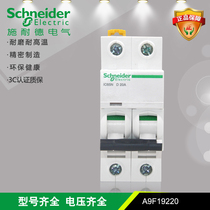 Schneider IC65N 2P D type 20A(A9F19220)6KA small circuit breaker air switch