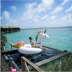 Nước bơm hơi dày hàng nổi bảy cầu vồng bay Tianma kỳ lân bơi vòng nước nổi giường gắn kết giường bơm hơi - Cao su nổi phao nằm hồ bơi Cao su nổi