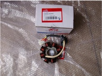 Dayang original accessories Dayang 110-18 18A 28A stator assembly Magneto coil